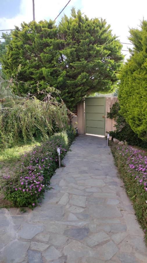 Villa Katerina Ialysos  Exteriör bild